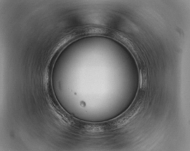X0000111370435200907101214