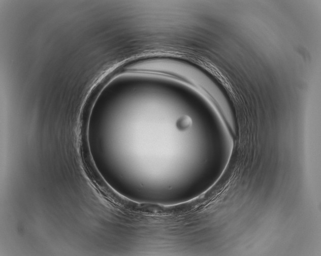 X0000111370436200907101214