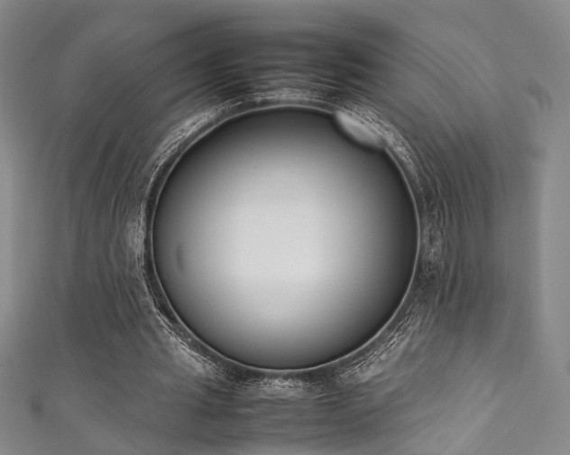 X0000111370437200907101214