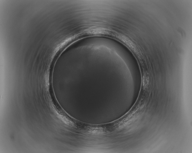 X0000111370438200907101214