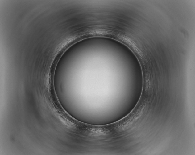 X0000111370439200907101214