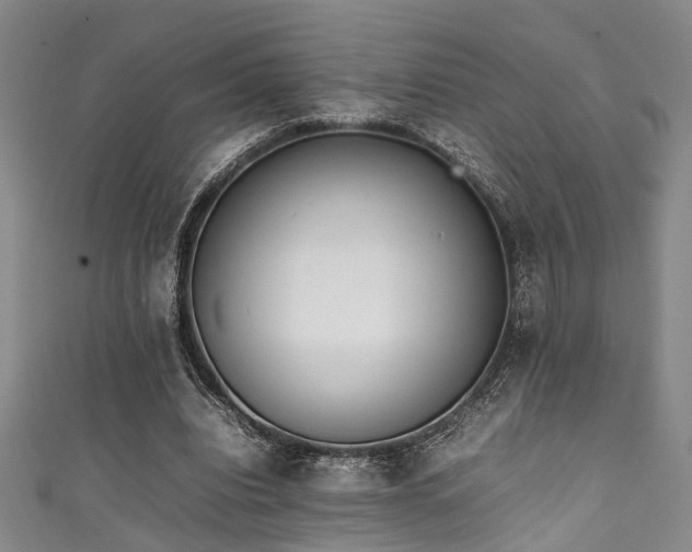 X0000111370440200907101214