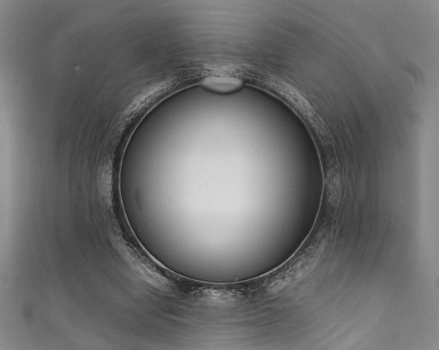X0000111370442200907101215