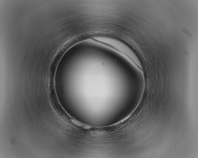 X0000111370444200907101215