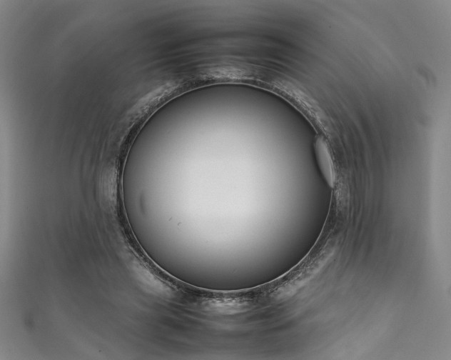 X0000111370445200907101215