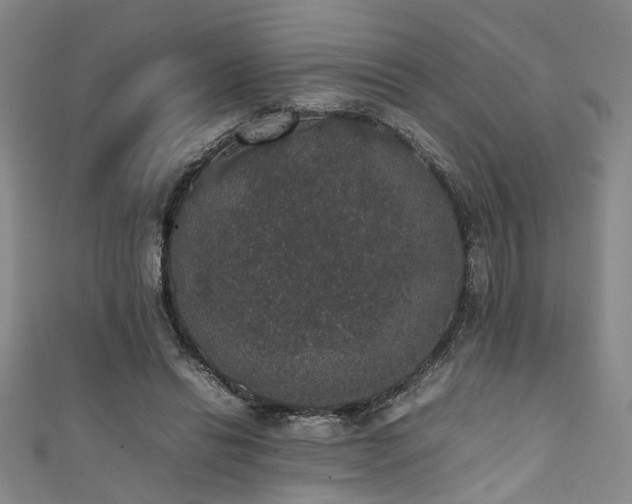 X0000111370446200907101215