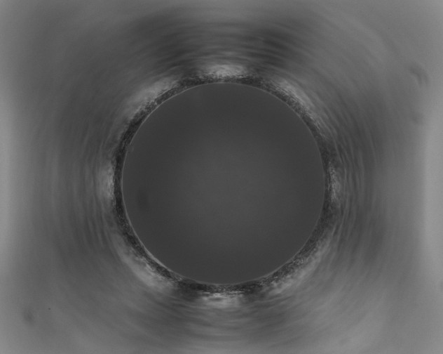 X0000111370447200907101215