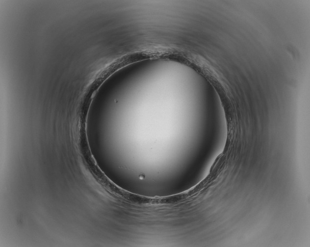 X0000111370448200907101215