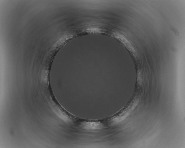 X0000111370449200907101215
