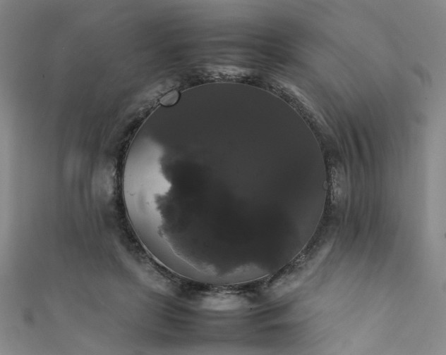 X0000111370451200907101215