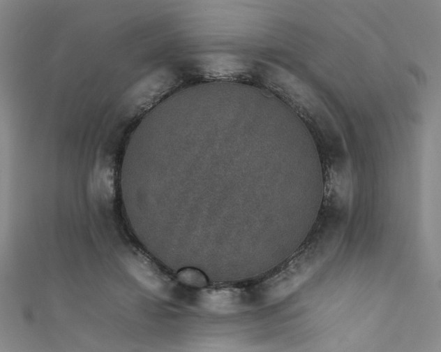 X0000111370452200907101215
