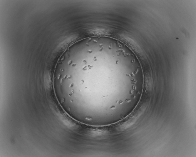 X0000111370453200907101215