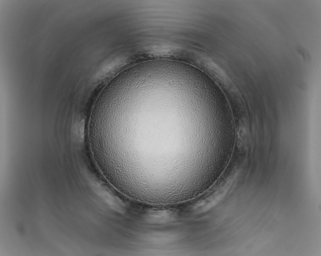 X0000111370454200907101215
