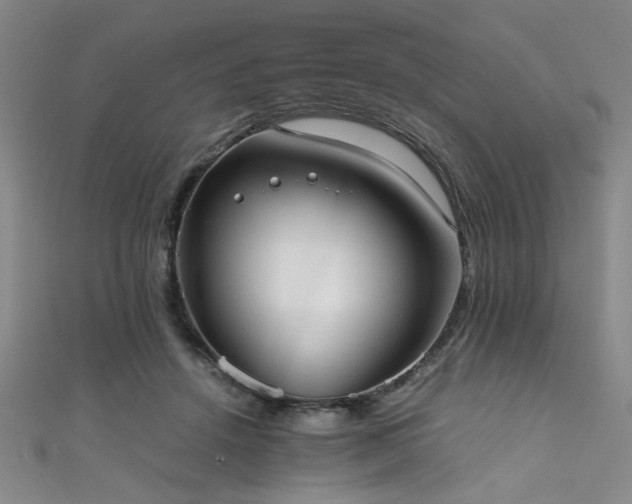 X0000111370456200907101215