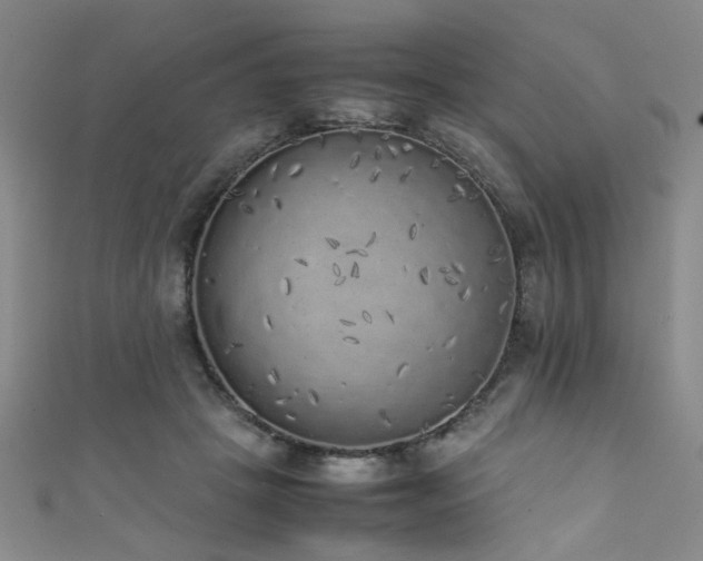 X0000111370457200907101215