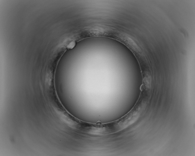 X0000111370458200907101215