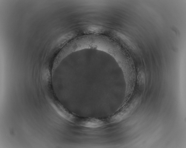 X0000111370459200907101215