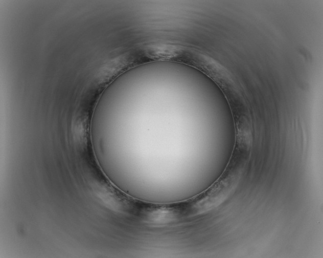 X0000111370460200907101215