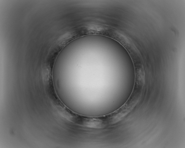 X0000111370463200907101215