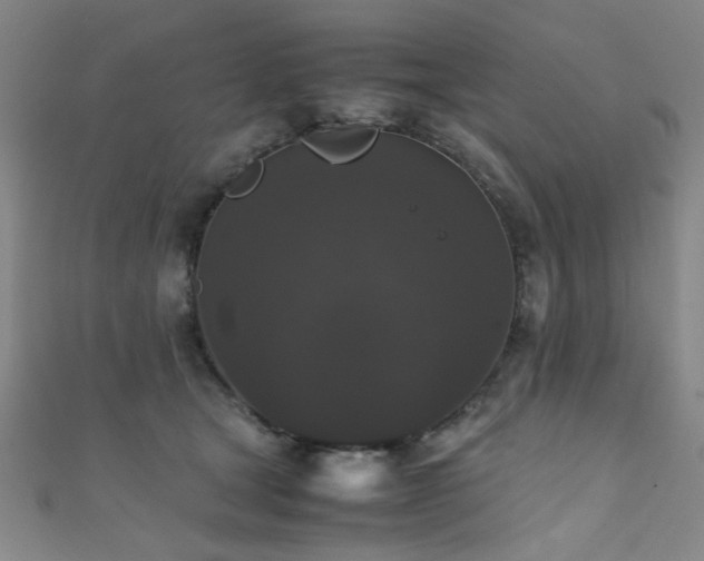 X0000111370465200907101215
