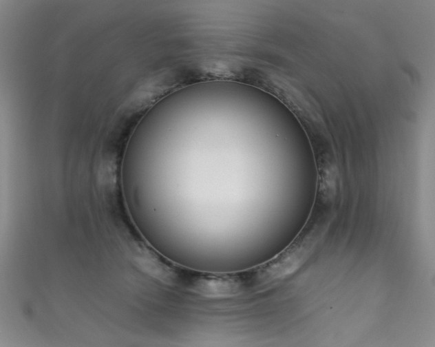 X0000111370466200907101215