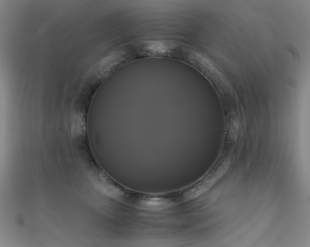 X0000111370467200907101215