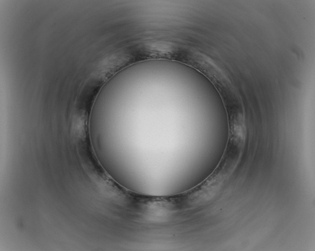 X0000111370468200907101215