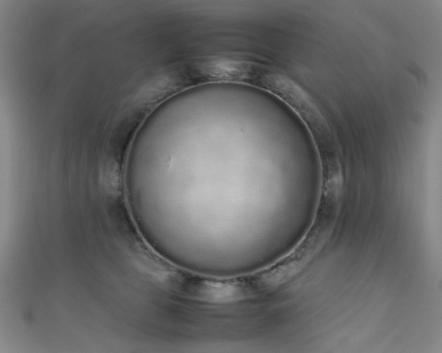 X0000111370469200907101215
