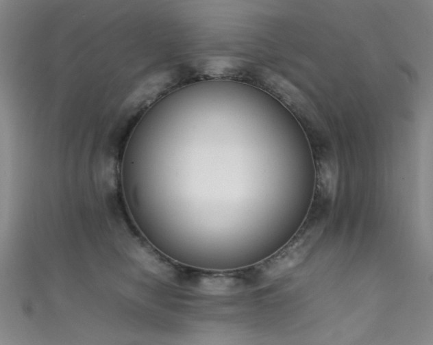 X0000111370470200907101215