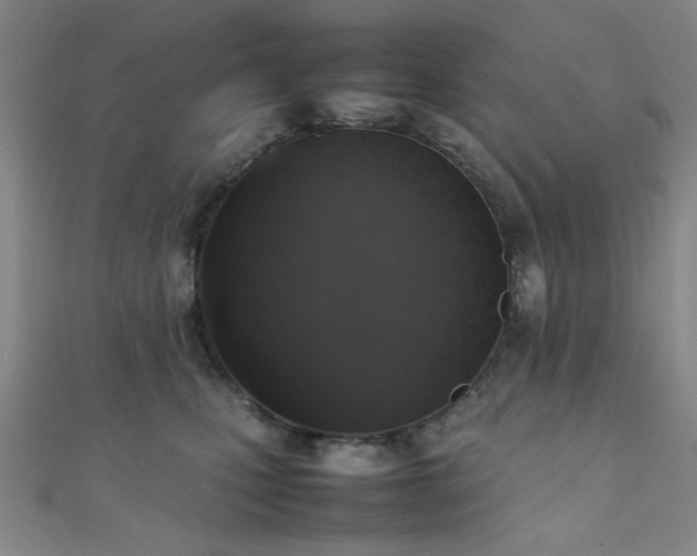 X0000111370471200907101215