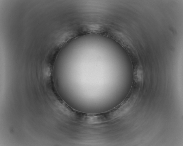 X0000111370472200907101215