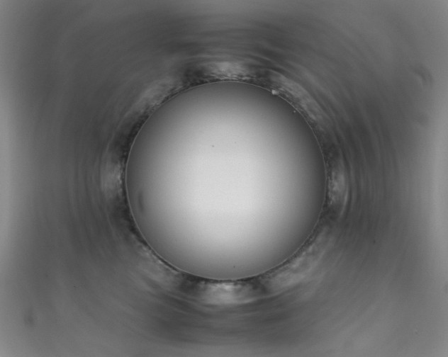 X0000111370473200907101215