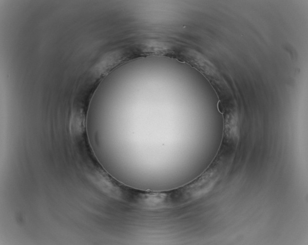 X0000111370474200907101215