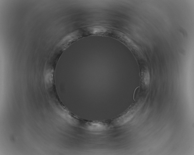 X0000111370475200907101215