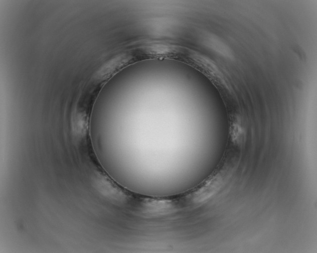 X0000111370476200907101215