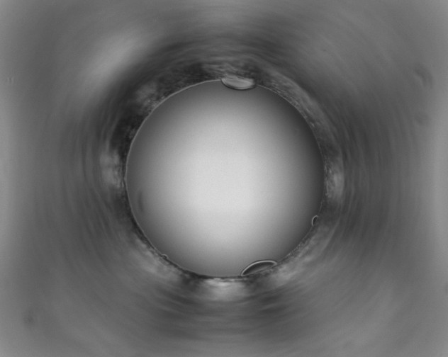 X0000111370477200907101215