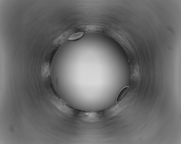 X0000111370478200907101215