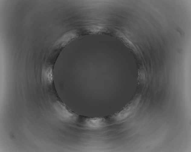 X0000111370479200907101215