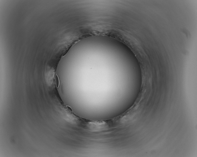 X0000111370480200907101215