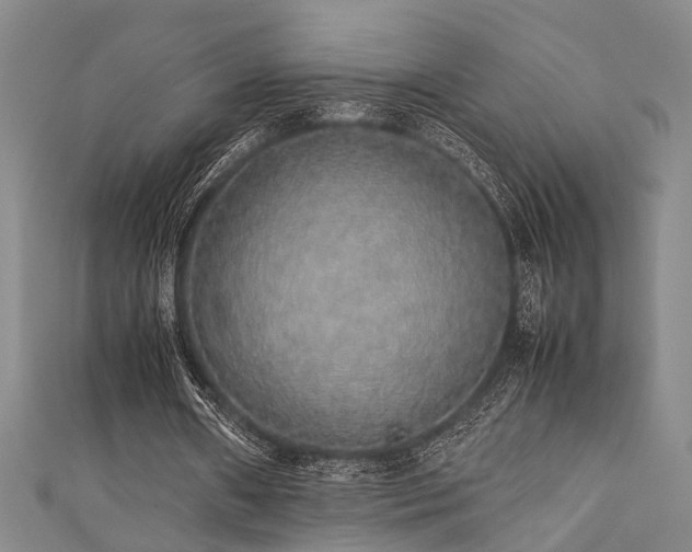 X0000111370482200907101214