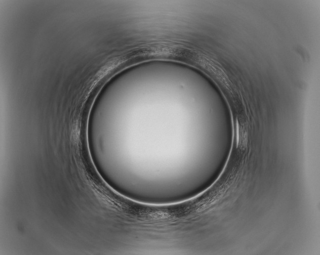 X0000111370483200907101214