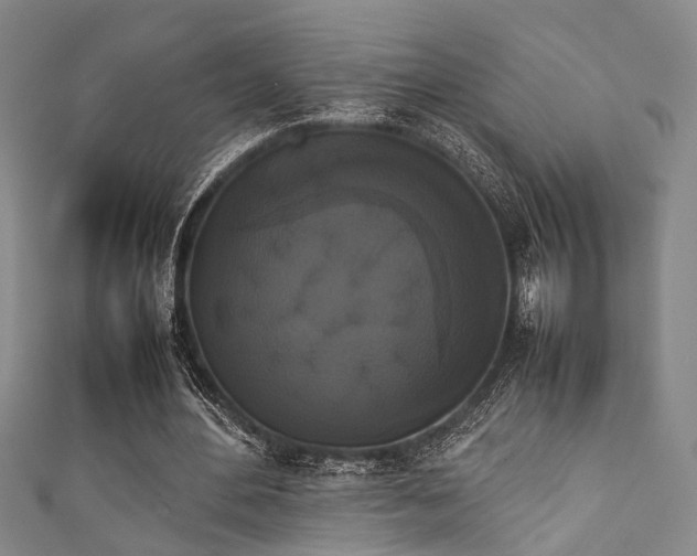 X0000111370484200907101214