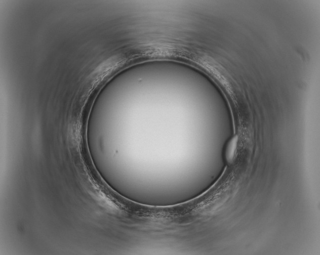 X0000111370485200907101214