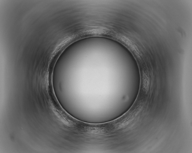 X0000111370486200907101214