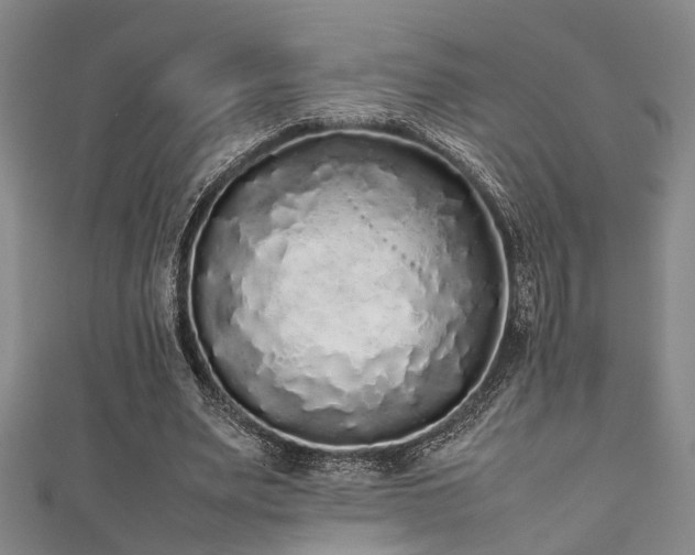 X0000111370487200907101214