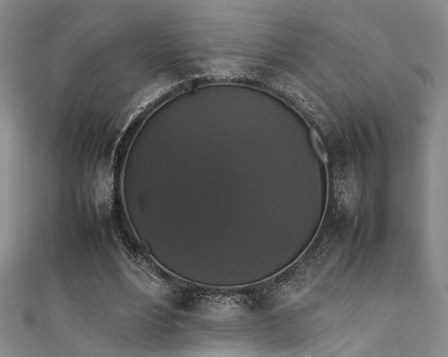 X0000111370488200907101214
