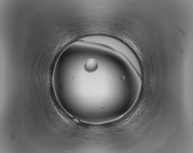 X0000111370489200907101214