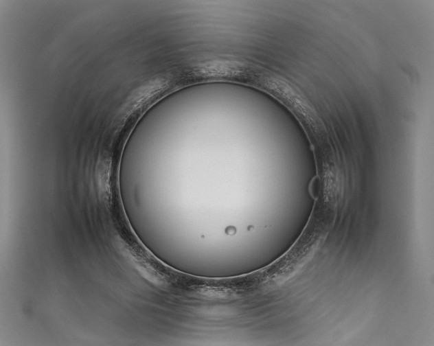 X0000111370490200907101214
