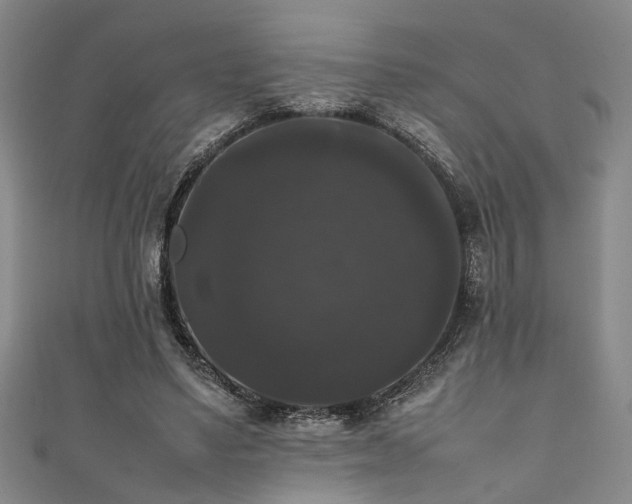 X0000111370491200907101214