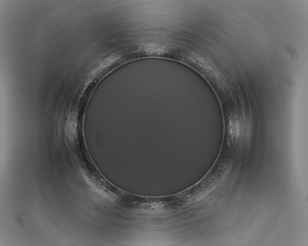 X0000111370492200907101214